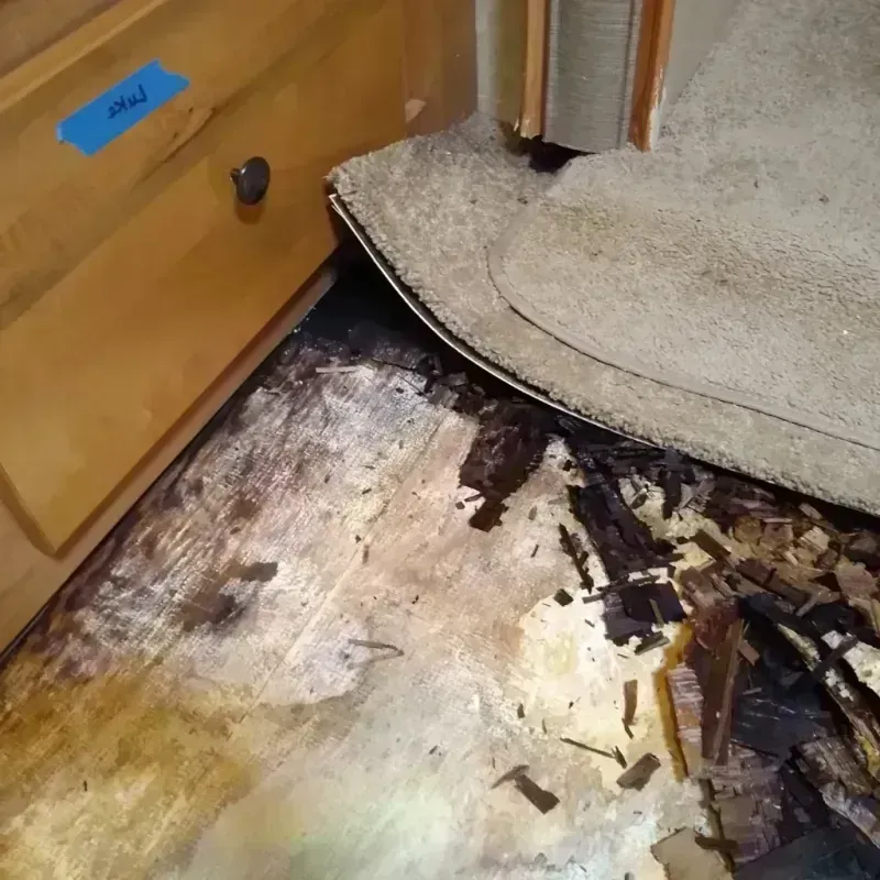 Wood Floor Water Damage in Dolores County, CO